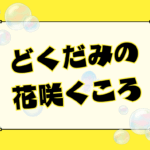 マンガ大賞2025にノミネート！『どくだみの花咲くころ』